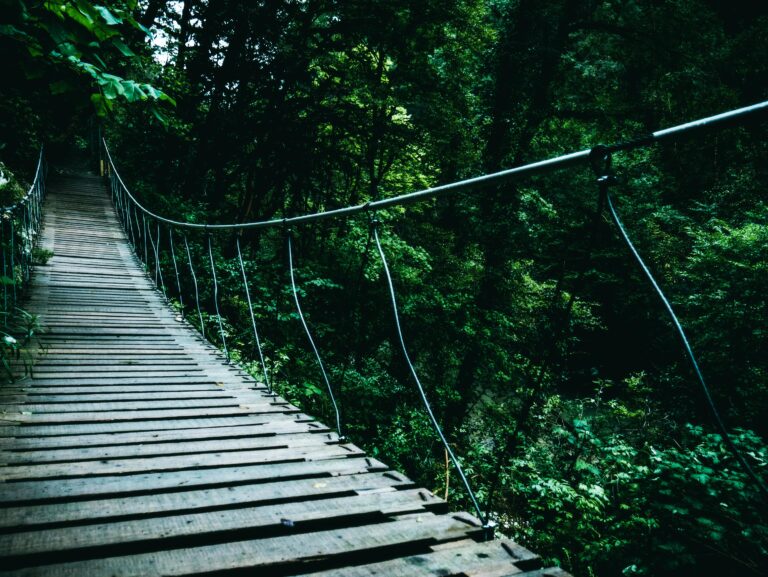 pexels-photo-1174146
